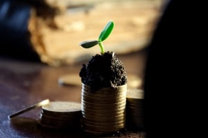 Bugetul de nunta I Do Weddings - Bugetul de nunta – avem grija sa investiti optim in moment