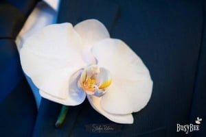 Cocarde si accesorii pentru nunta I Do Weddings - Cocarde si accesorii pentru nunta