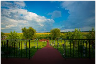 In fata cortului I Do Weddings Verde cat vezi cu ochii - I Do Weddings | nuntiinaerliber.ro