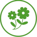 Floricica mini